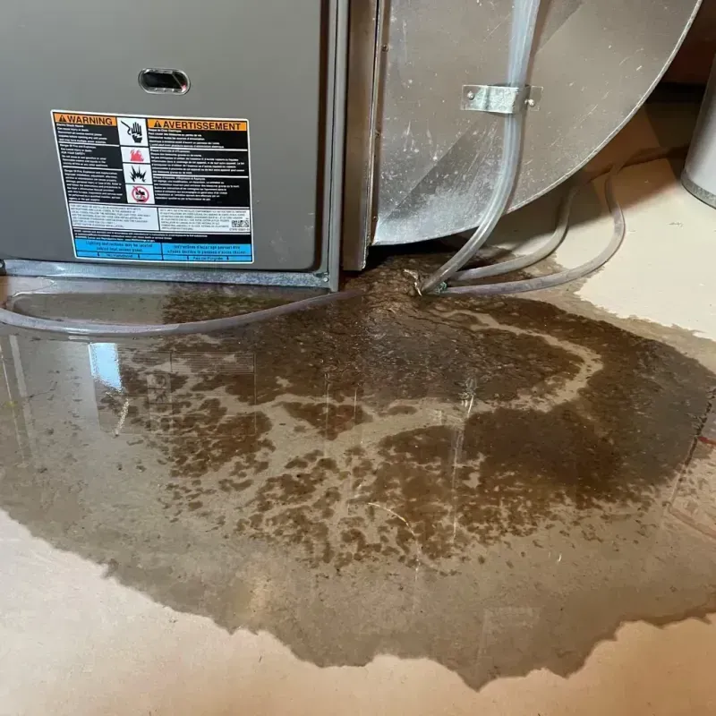 Appliance Leak Cleanup in King County, TX